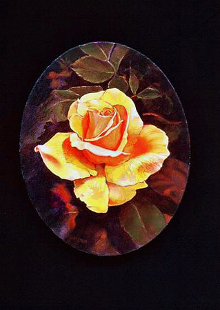 Rose in Evening