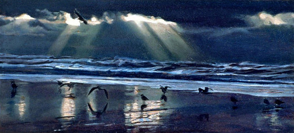 Dance of Seagulls