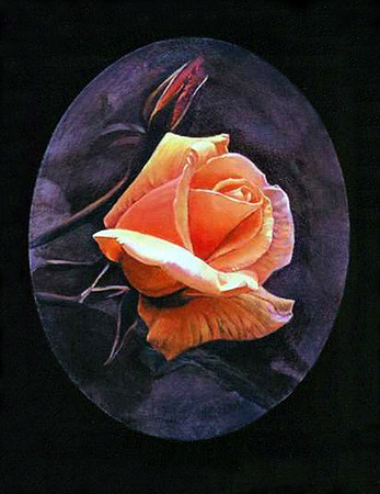 Rose in Morning